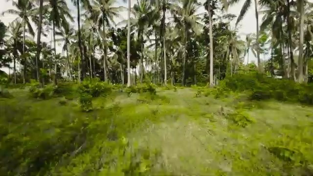 Migi Rihasalay — Hijau Daun — Music